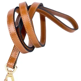 Leap Frog Dog Leash in Tan & Gold